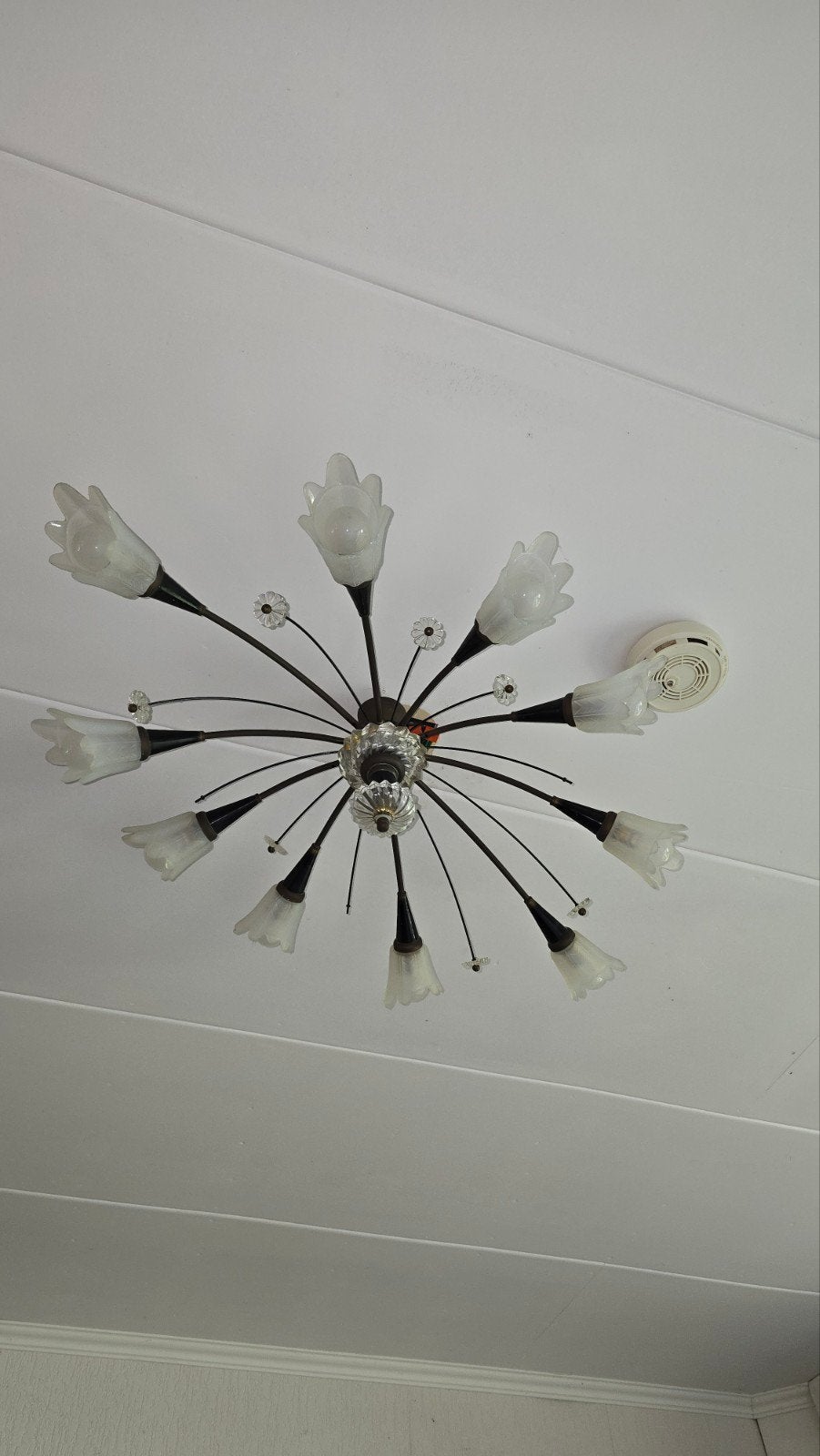Bijzondere lamp, Ophalen of Verzenden
