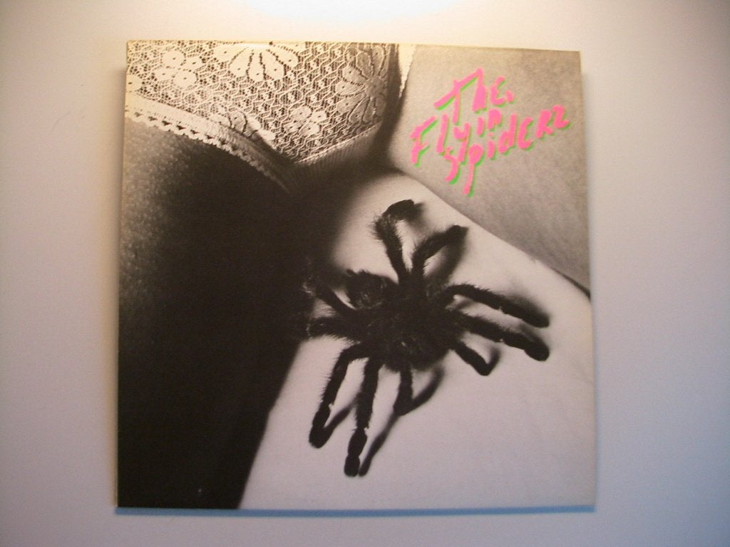 LP The Flyin' Spiderz - The Flyin' Spiderz, Verzenden, Gebruikt, 12 inch, Poprock
