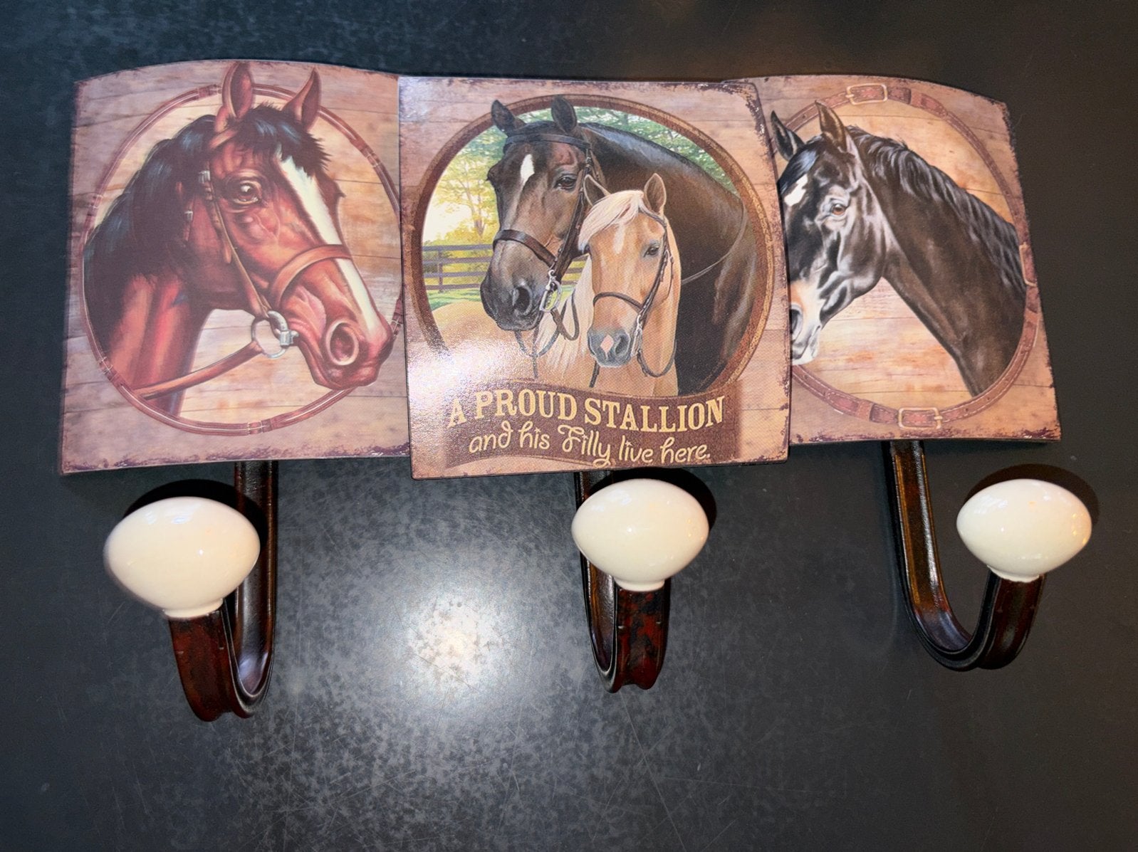 Kapstok met paarden design - Ideaal voor paardenliefhebbers, Wandkapstok, Overige materialen, Gebruikt, Ophalen of Verzenden