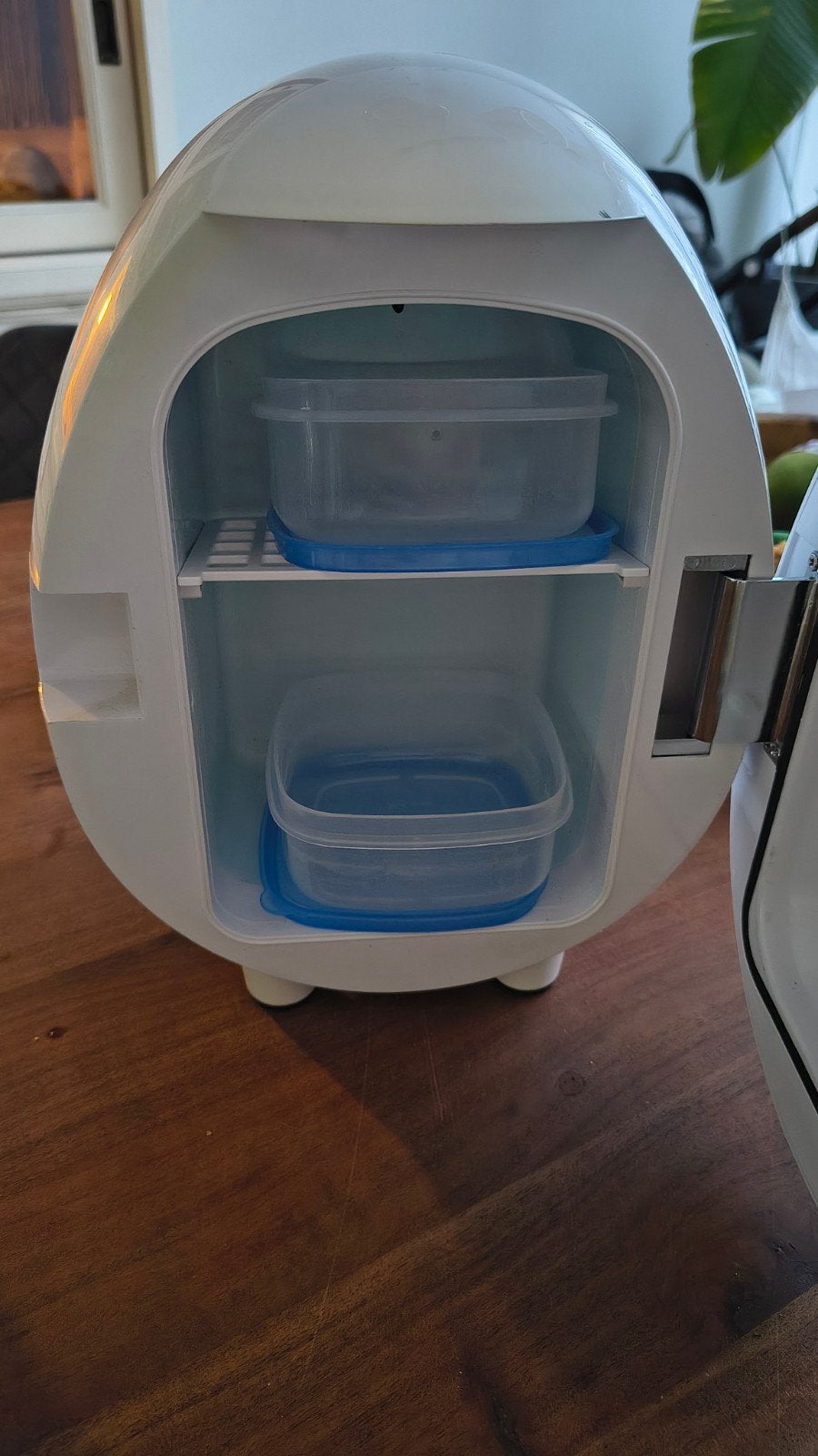 Lucky reptile Egg-o-bator broedstoof reptielen eieren, Dieren en Toebehoren, Ophalen of Verzenden, Gebruikt, Broedstoof of Broedmachine