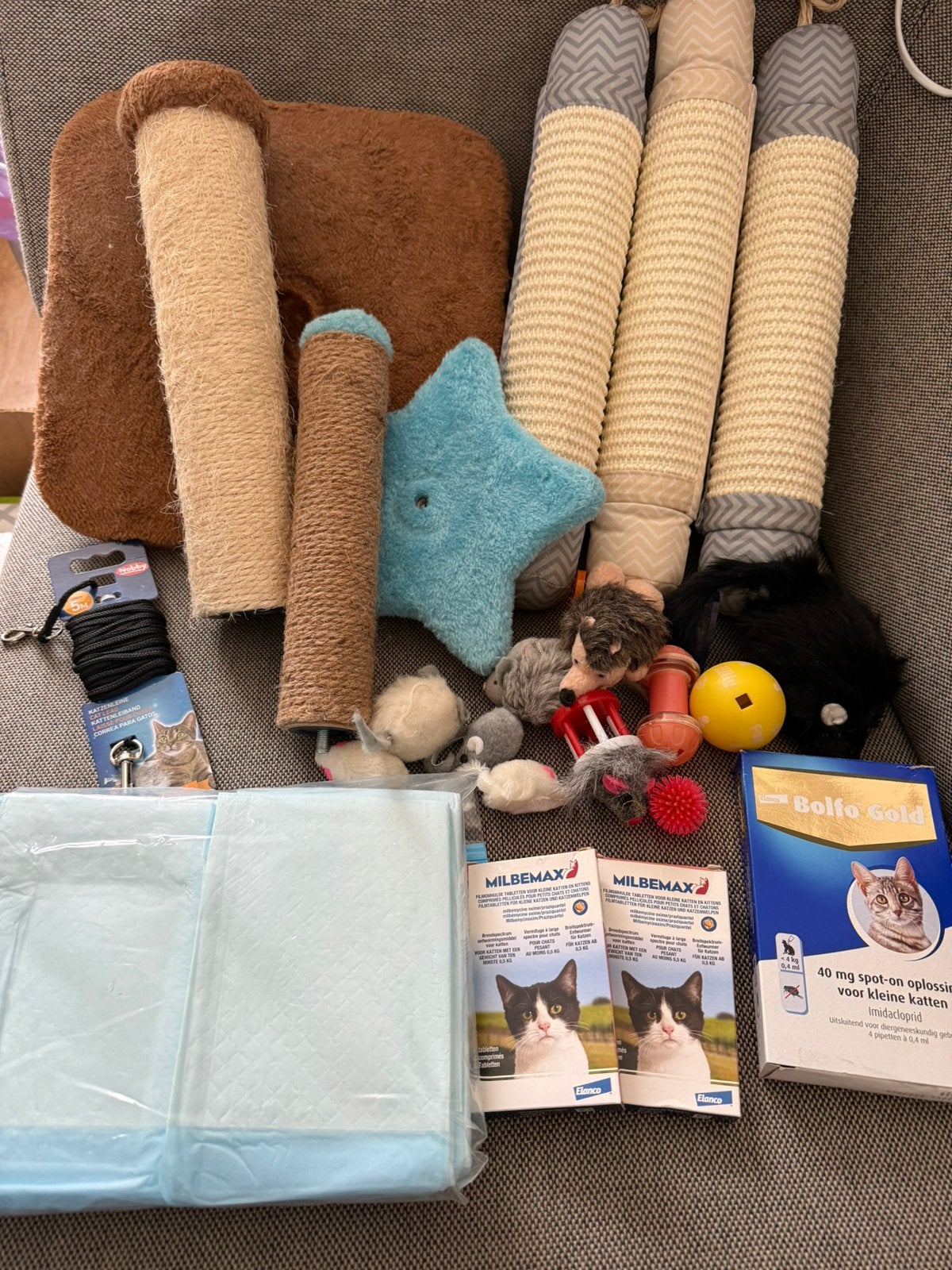 Kitten pakket, Ophalen of Verzenden, Zo goed als nieuw