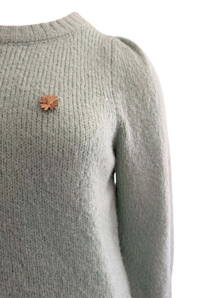 Fabienne Chapot trui M, Kleding | Dames, Ophalen of Verzenden, Zo goed als nieuw, Groen