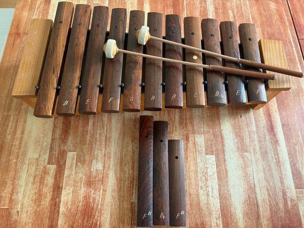 Xylofoon studio 49, Ophalen of Verzenden, Gebruikt, Melodische percussie