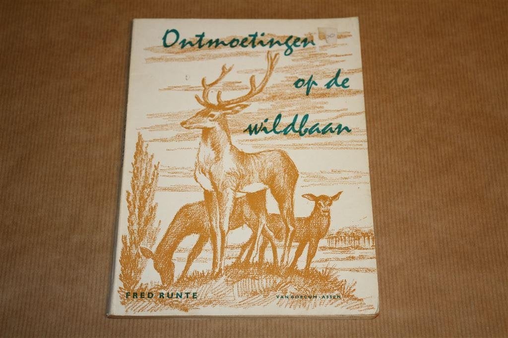 Ontmoetingen op de wildbaan. Leesboekje lagere school., Boeken, Kinderboeken | Jeugd | onder 10 jaar, Ophalen of Verzenden, Gelezen