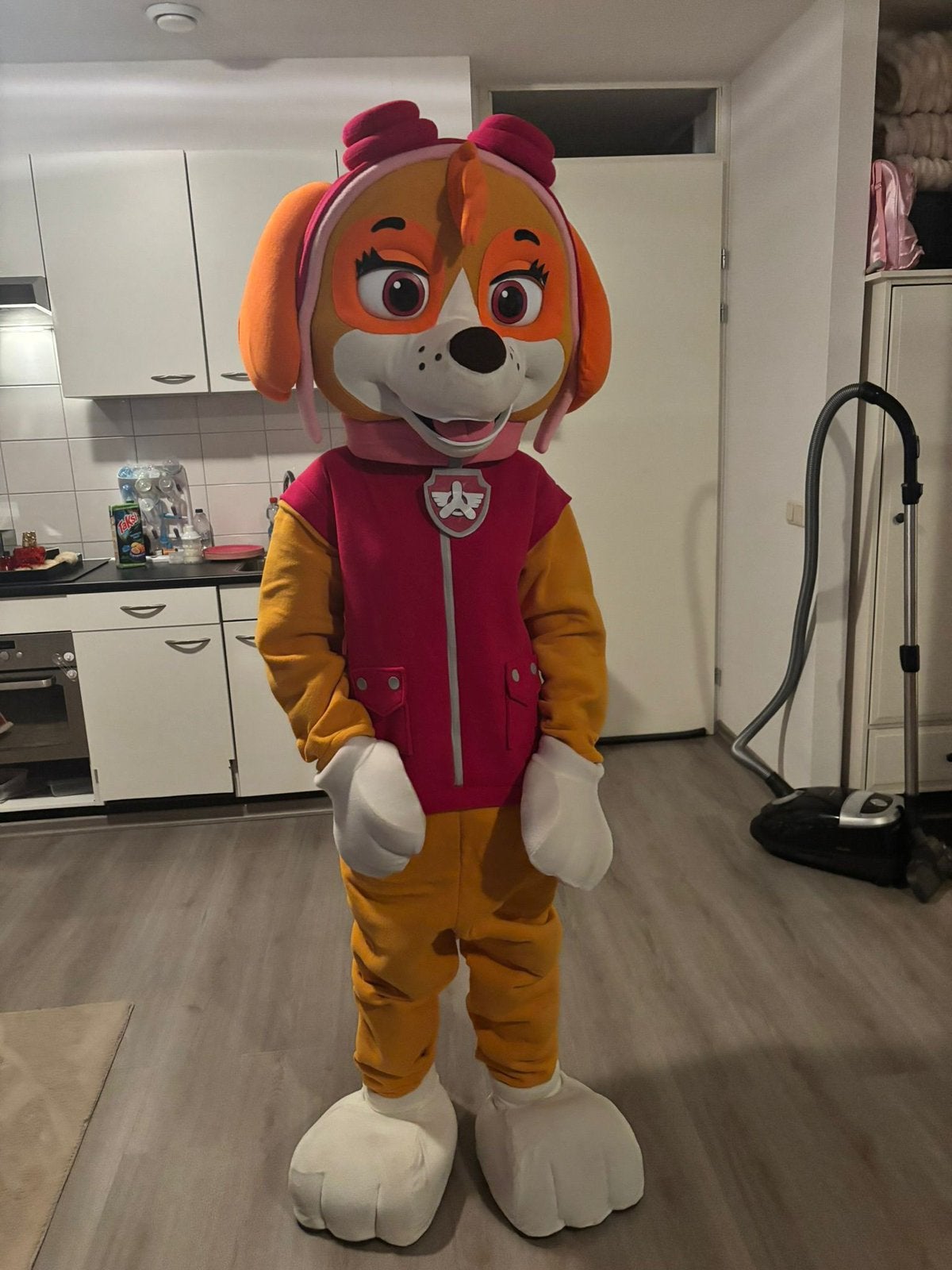 SKYE MASCOTTE VERHUUR, Ophalen of Verzenden, Zo goed als nieuw, Verjaardag