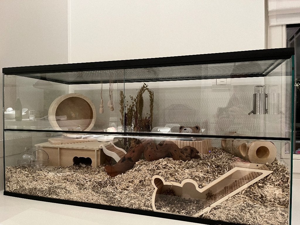 Hamster terrarium 100x40x50 + uitgebreide inrichting, Dieren en Toebehoren, Knaagdieren en Konijnen | Hokken en Kooien, Kooi, Gebruikt