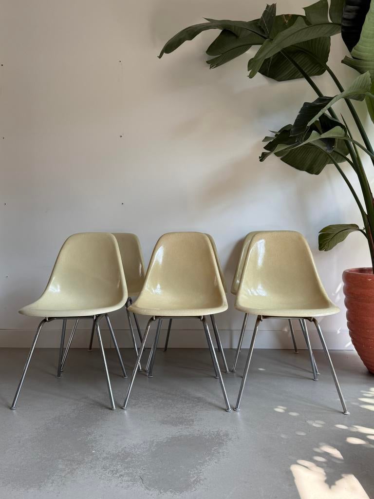 6x Herman Miller DSX glasvezel side chair. Eames, Huis en Inrichting, Stoelen, Overige materialen, Gebruikt, Overige kleuren, Vintage