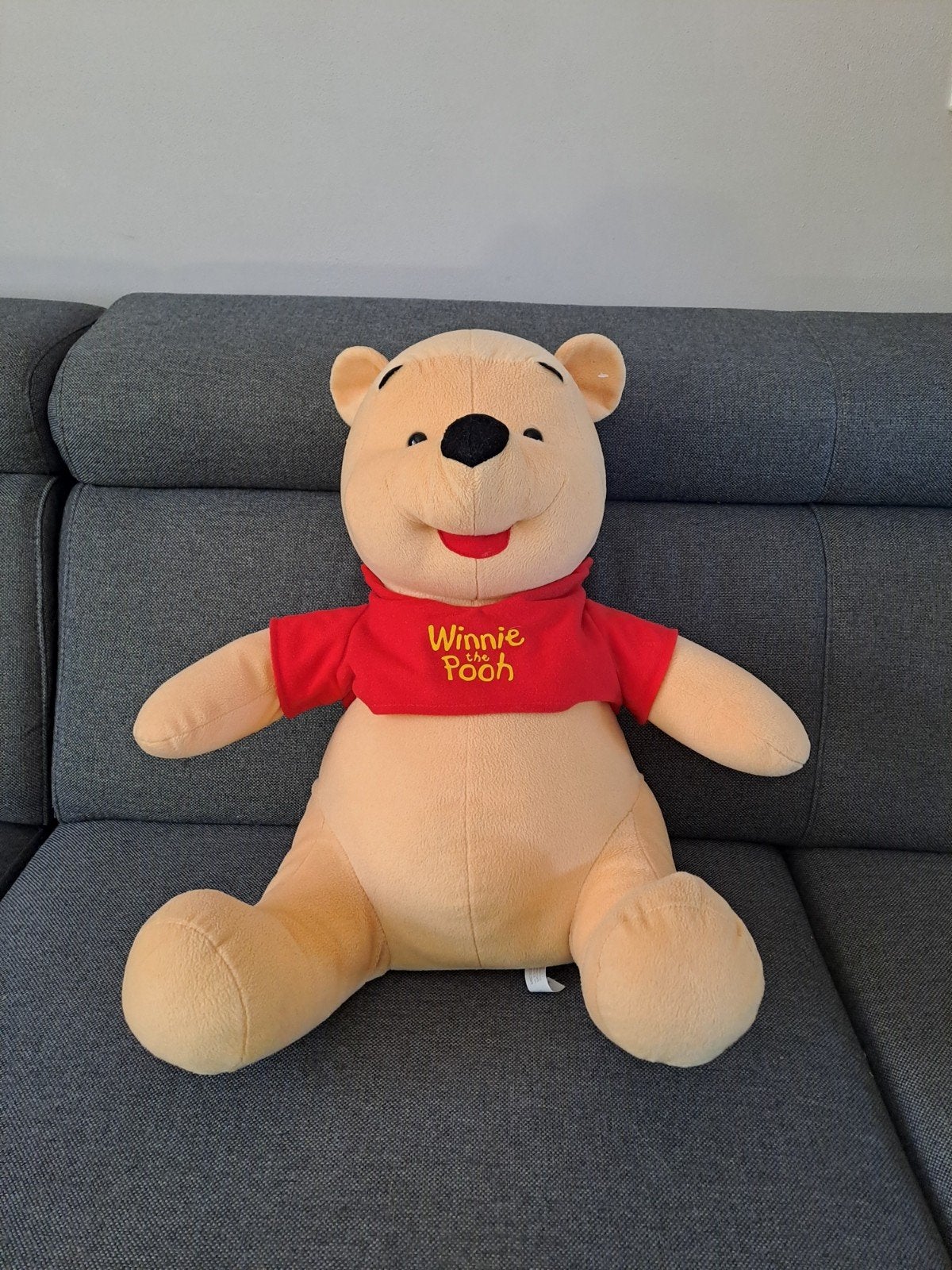 Winnie the Pooh, Ophalen of Verzenden, Zo goed als nieuw, Overige typen