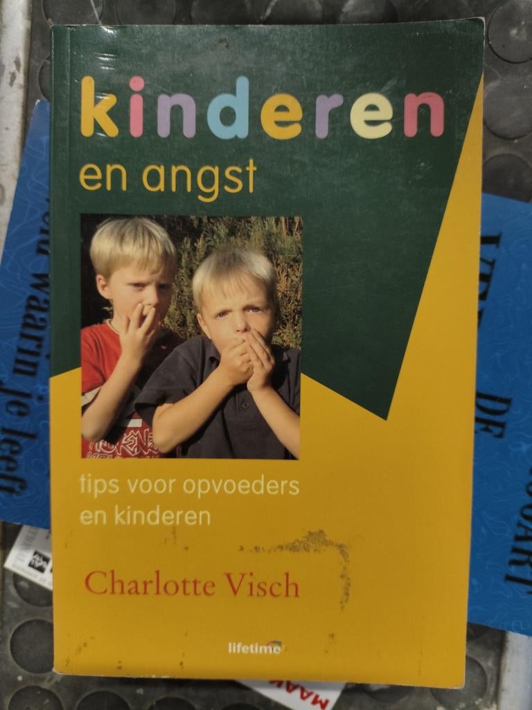 C. Visch - Kinderen en angsten, C. Visch, Zwangerschap en Bevalling, Ophalen of Verzenden, Zo goed als nieuw