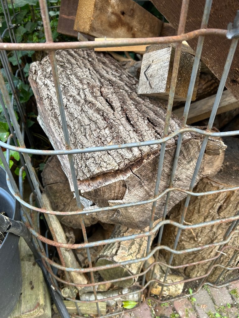 Haardhout droog gratis, Tuin en Terras, Minder dan 3 m³, Ophalen, Overige houtsoorten, Stammen