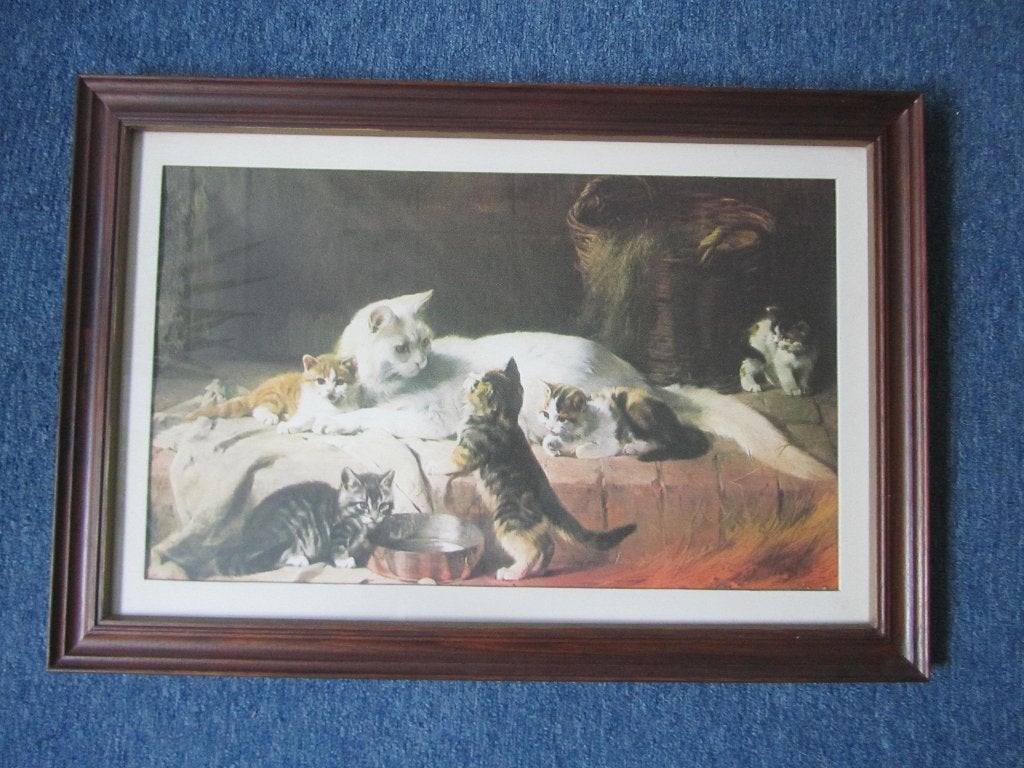 Lijst, hout met glas, 40x60cm. tafereel met Katten, Huis en Inrichting, Ophalen, Met afbeelding, Ingelijst werk, Zo goed als nieuw