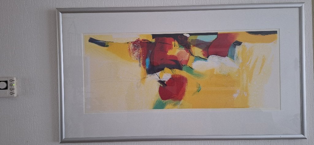 litho Pieter Vermeulen, Antiek en Kunst, Ophalen, Lithografie