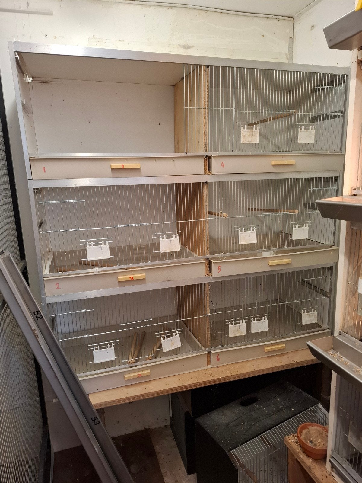 broedkooienkooien, Ophalen, Gebruikt, Hout, Broedkooi of Kweekkooi
