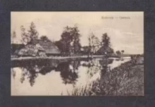 Ommen Rotbrink Boerderijen., Verzamelen, Ansichtkaarten | Nederland, Ongelopen, Overijssel, Voor 1920, Ophalen of Verzenden