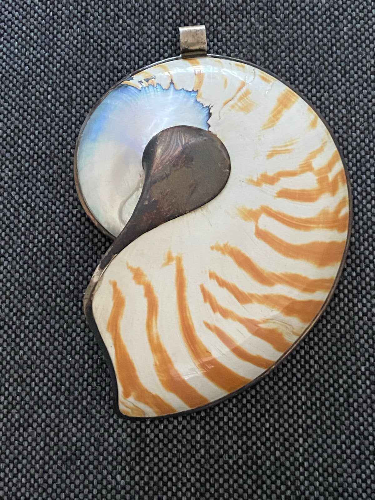 Nautilus zilver schelp hanger, Verzenden