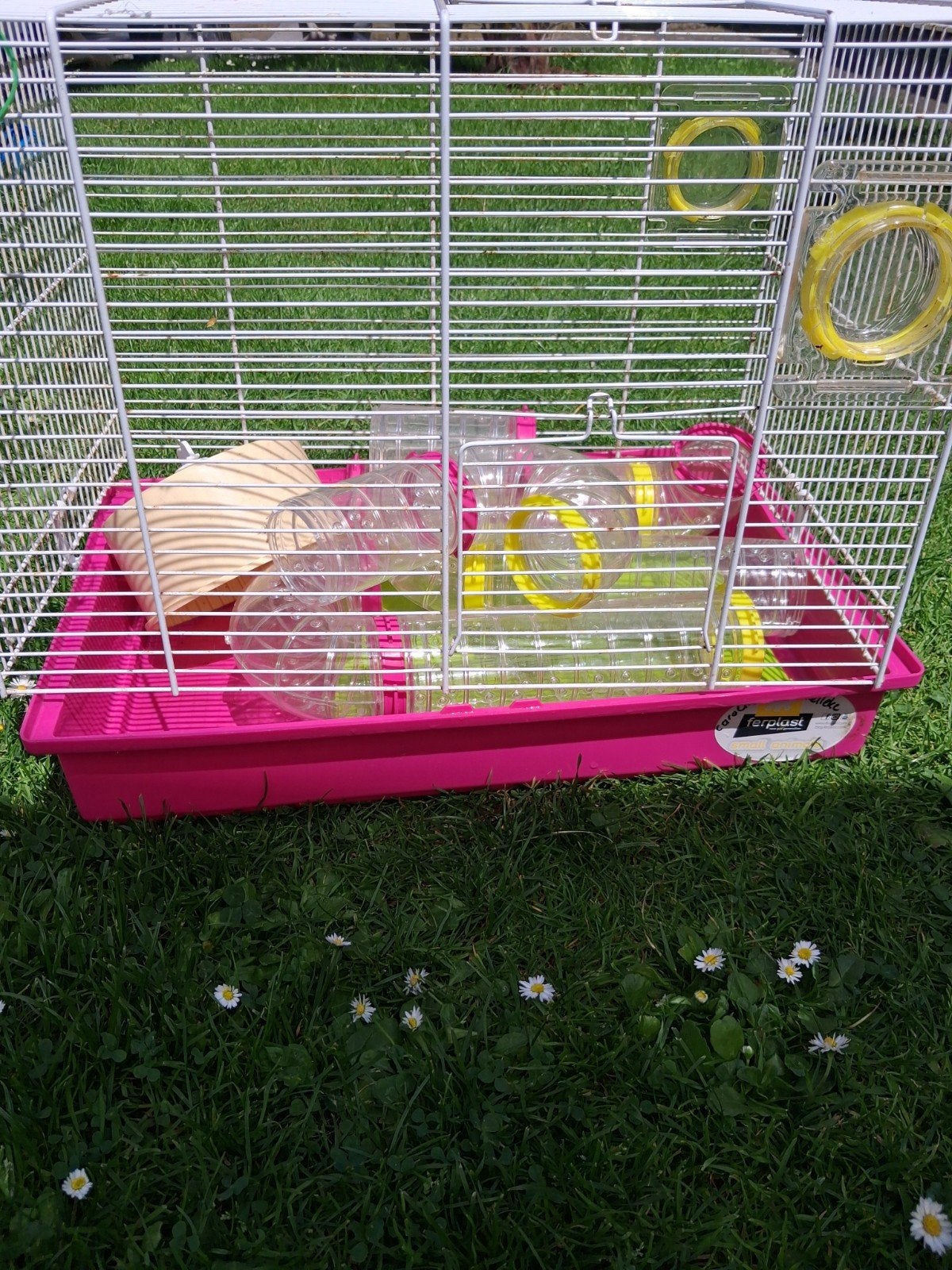 Hamster kooi, Dieren en Toebehoren, Knaagdieren en Konijnen | Hokken en Kooien, Minder dan 60 cm, Kooi, Minder dan 75 cm, Ophalen of Verzenden