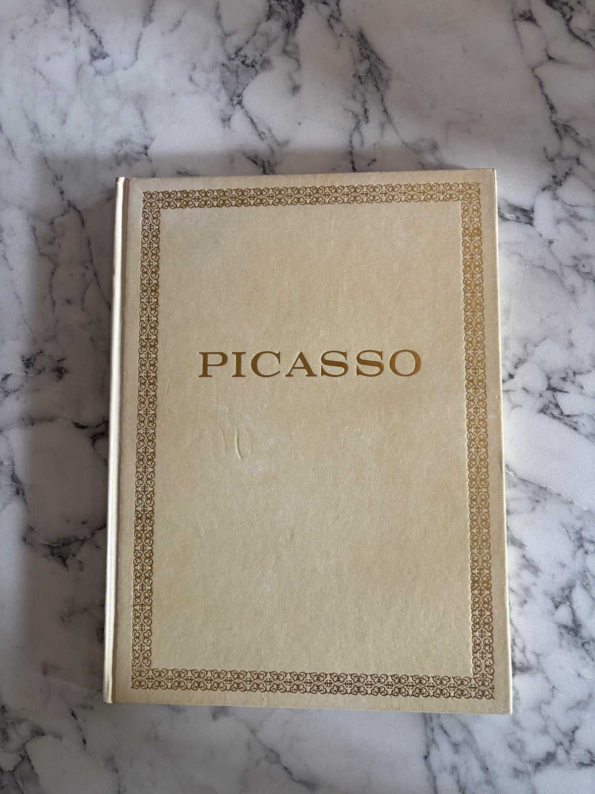 Picasso Kunstboek - Geïllustreerde Monografie, Ophalen of Verzenden, Gelezen, Schilder- en Tekenkunst