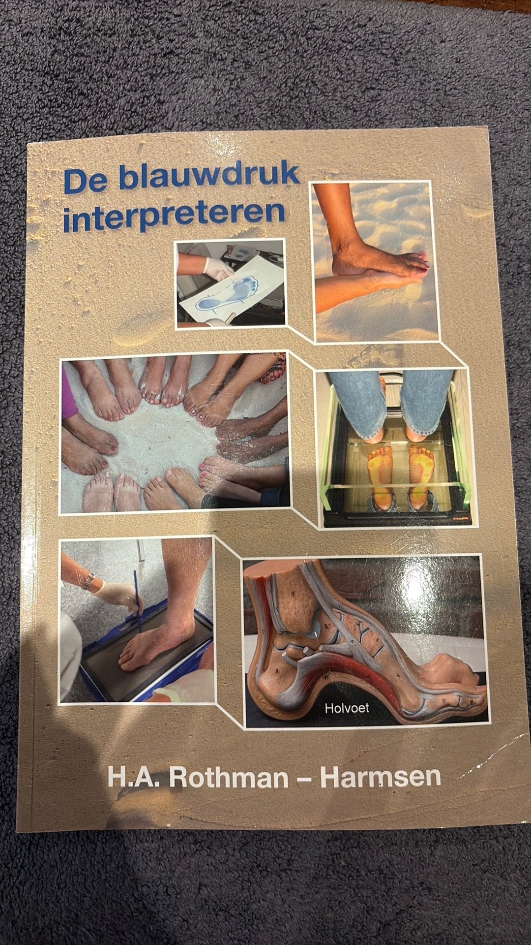 H.A. Rothman-Harmsen - De blauwdruk interpreteren, Ophalen of Verzenden, Zo goed als nieuw, H.A. Rothman-Harmsen, Nederlands