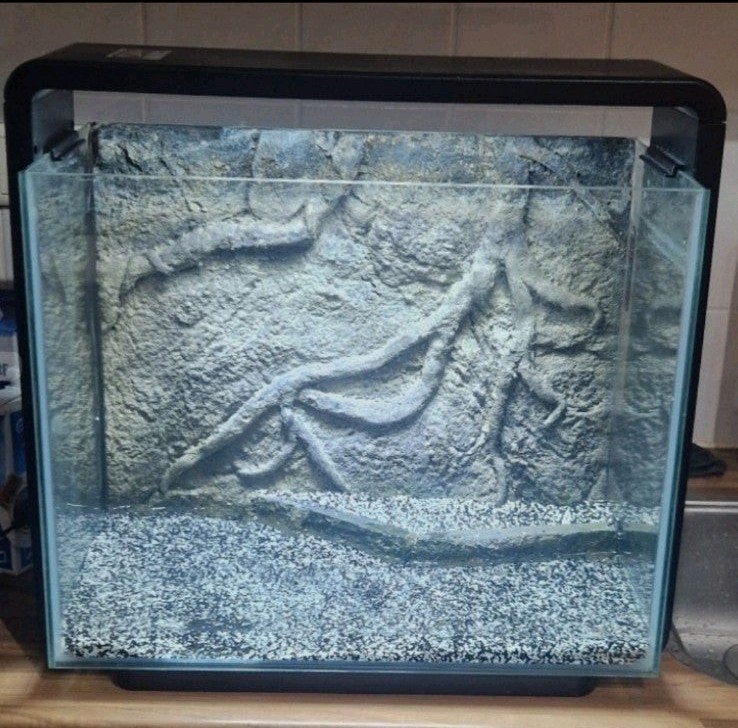 Superfish home 40, Dieren en Toebehoren, Vissen | Aquaria en Toebehoren, Ophalen of Verzenden, Zo goed als nieuw, Gevuld zoetwateraquarium