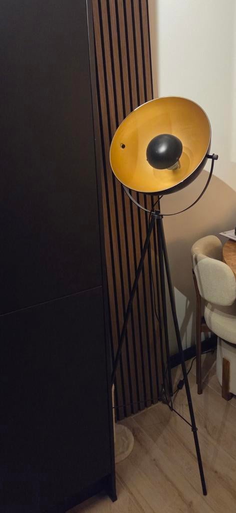 Zwarte staande lamp, Ophalen, Zo goed als nieuw, Metaal, 150 tot 200 cm