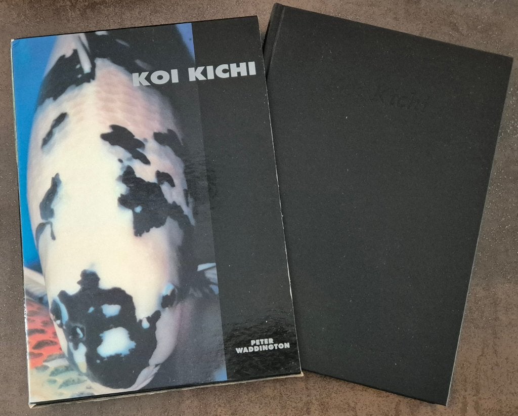 KOI Kichi - Peter Waddington, Verzenden, Zo goed als nieuw, Vissen, Peter Waddington