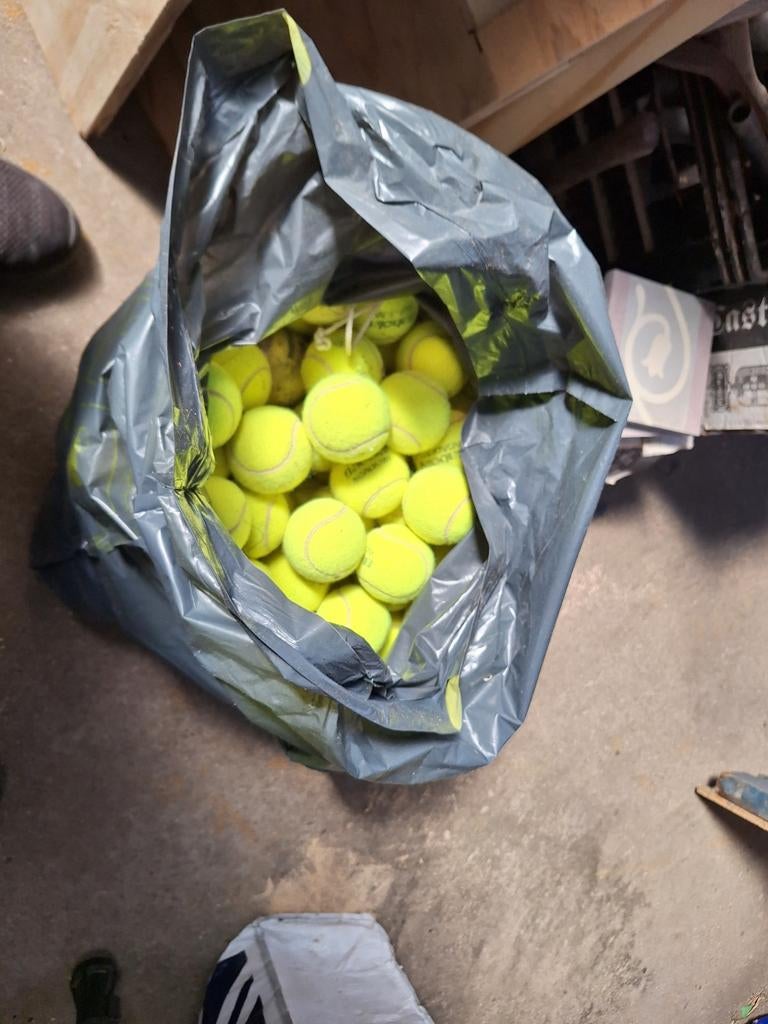 Zak vol tennis ballen voor de hond, Ophalen, Intelligentiespeelgoed