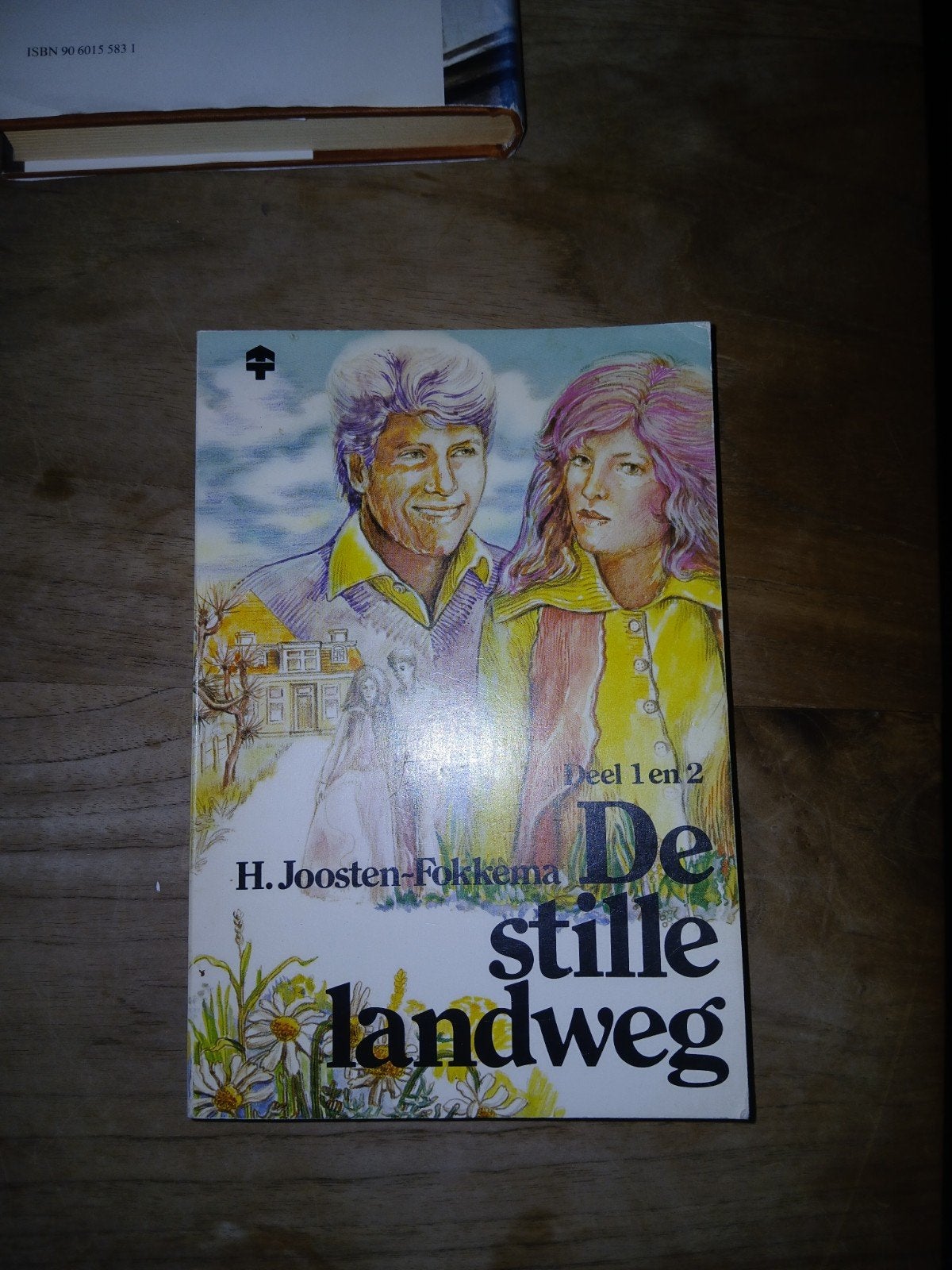 De Stille Landweg - H. Joosten-Fokkema (Deel 1 en 2), Boeken, Ophalen of Verzenden, Gelezen, H. Joosten-Fokkema