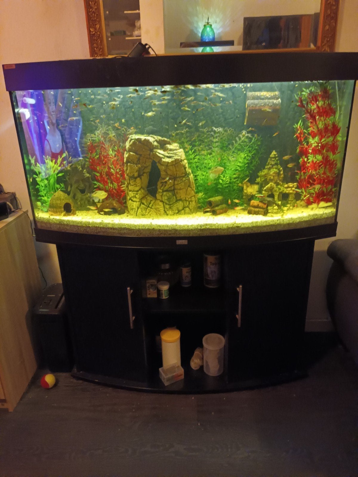 Te koop: Compleet Juwel aquarium met kast, Ophalen, Gebruikt, Gevuld zoetwateraquarium, Inclusief controller