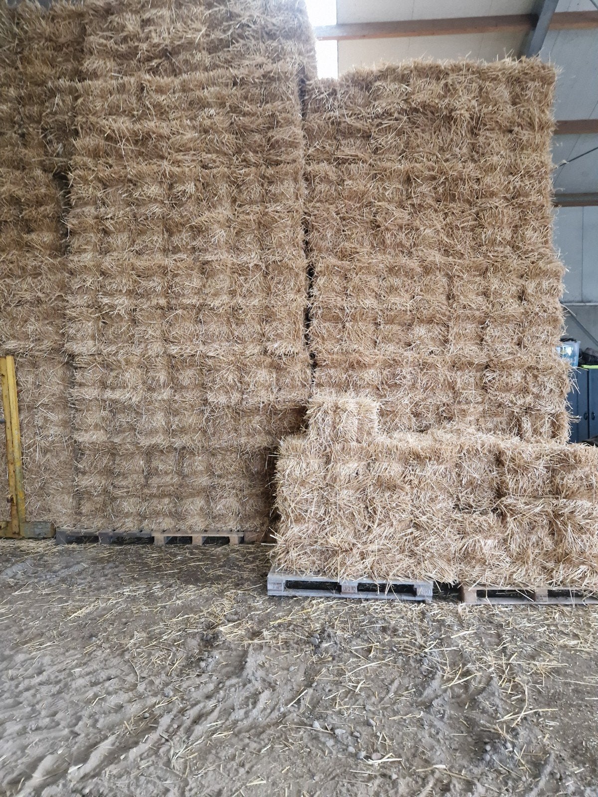 Hooi en strobalen te koop - Grote voorraad, Dieren en Toebehoren, Ophalen, Vee