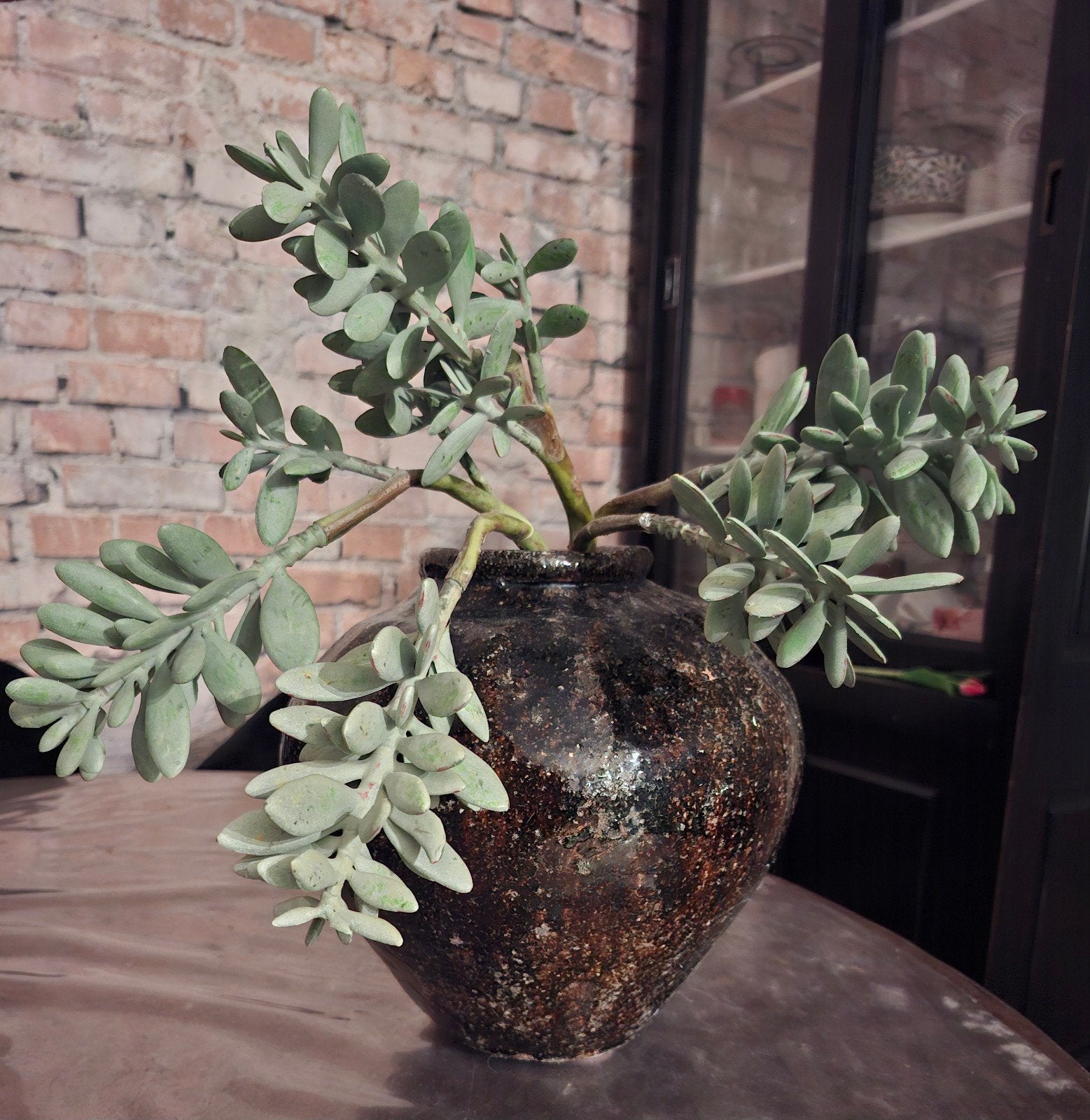 Prachtige  stoere donkerbruine  kruik/vaas ,excl tak!, Ophalen