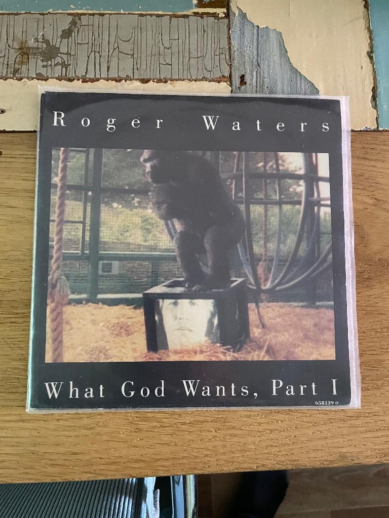 Single Roger Waters - What God wants, Part 1 (Pink Floyd), 7 inch, Ophalen of Verzenden, Zo goed als nieuw, Fotohoes