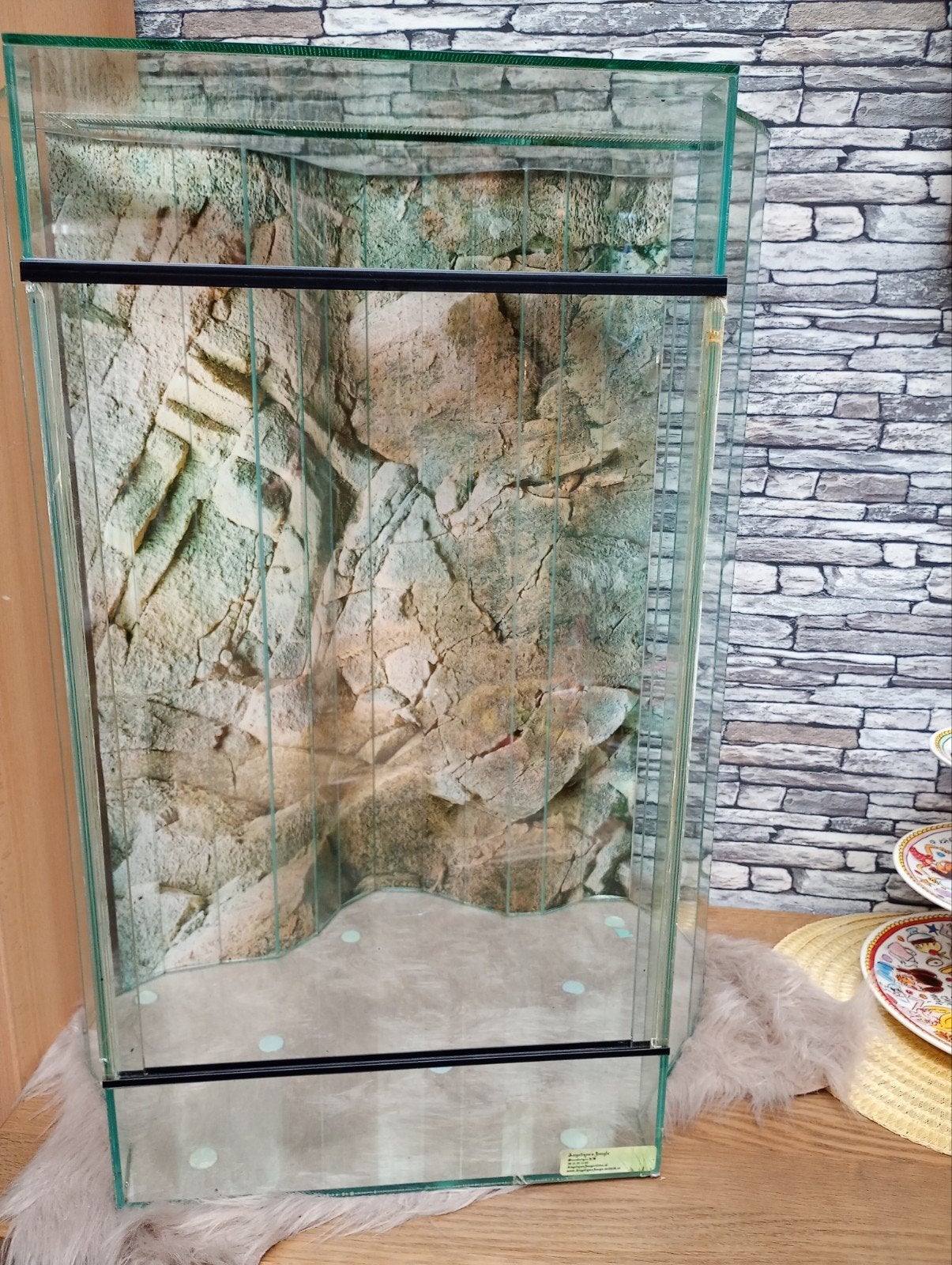 glazen terrarium, Ophalen, Gebruikt, Terrarium of Paludarium
