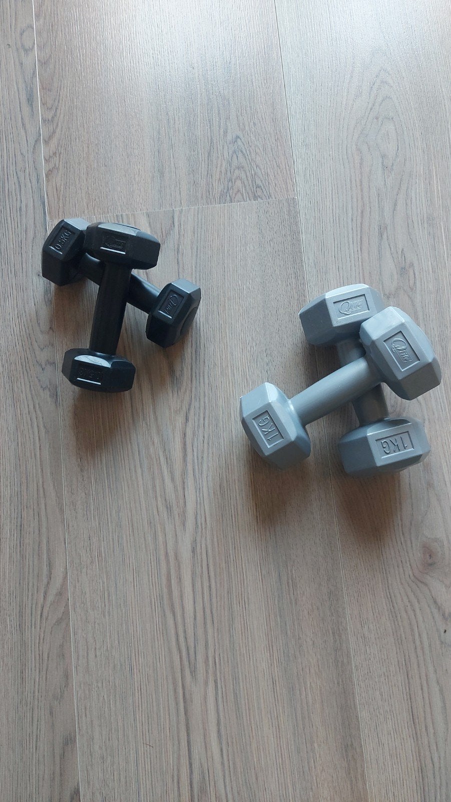 Dumbbells 0.5kg en 1kg - Ideaal voor thuisworkouts, Ophalen, Zo goed als nieuw, Armen, Dumbbell