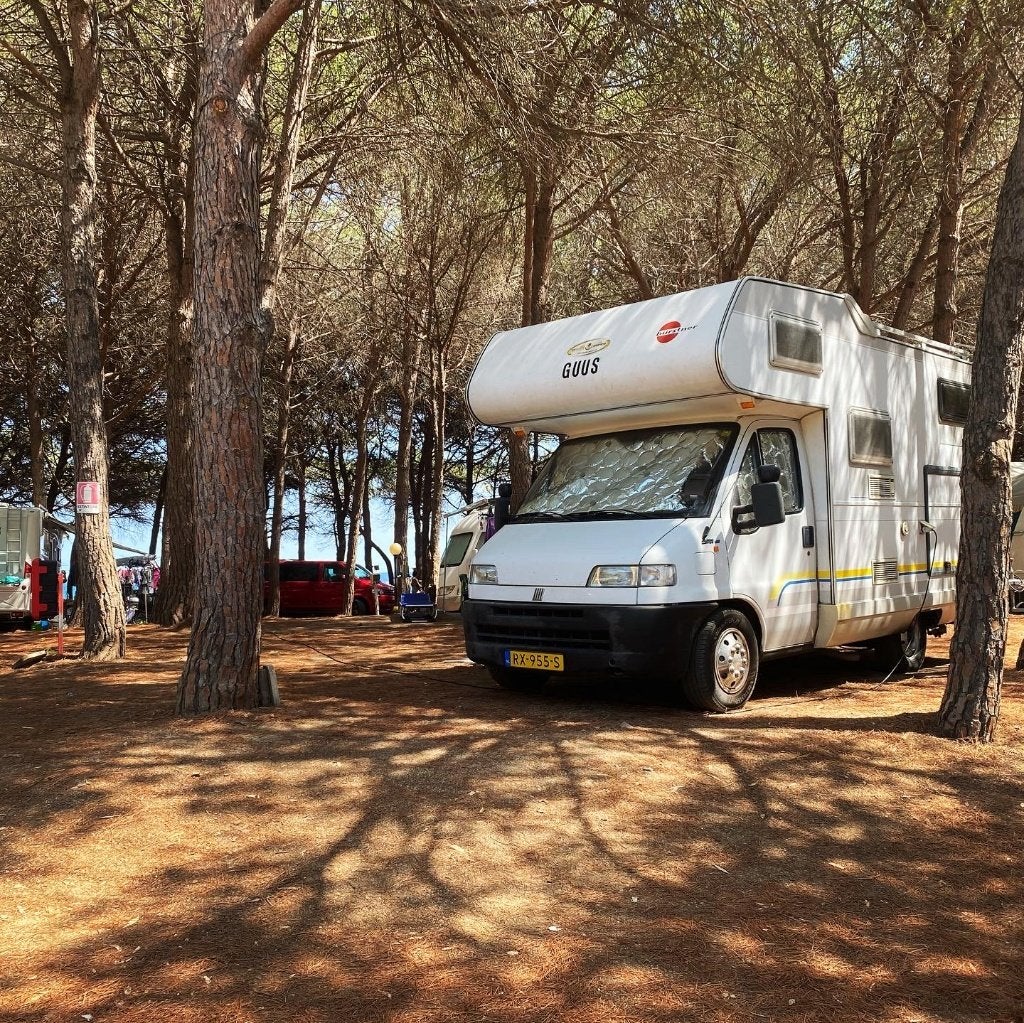 Camper Fiat Ducato 2.5 tdi 1998, Alkoof, Achteruitrijcamera, Fiat, Treinzit
