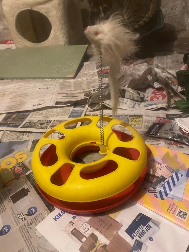 Katten speelgoed, Dieren en Toebehoren, Kattenspeelgoed, Ophalen of Verzenden, Zo goed als nieuw, Speelbal