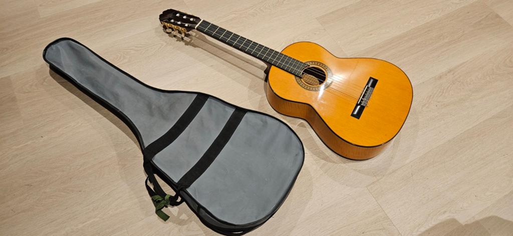 Klassieke gitaar met hoes, Muziek en Instrumenten, Snaarinstrumenten | Gitaren | Akoestisch, Ophalen of Verzenden, Klassieke of Spaanse gitaar