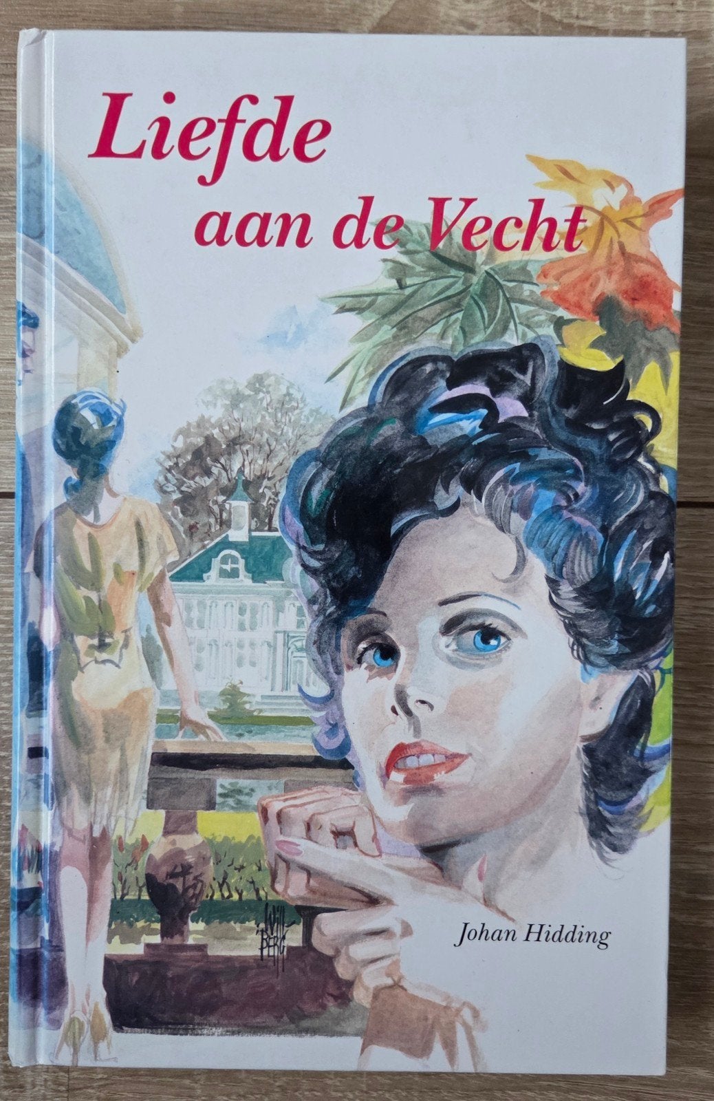 Johan Hidding - Liefde aan de Vecht, Ophalen of Verzenden, Zo goed als nieuw, J. Hidding