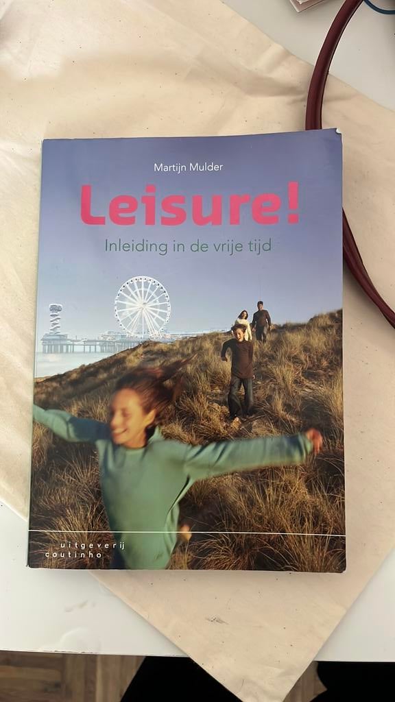 Martijn Mulder - Leisure!, Boeken, Wetenschap, Zo goed als nieuw, Sociale wetenschap, Ophalen of Verzenden