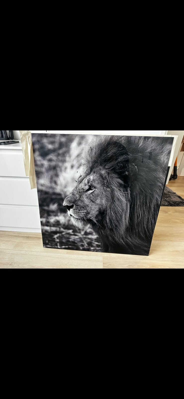 Luxe set van 2 glazen schilderijen leeuw (zwart-wit), Ophalen, Zo goed als nieuw, Schilderij