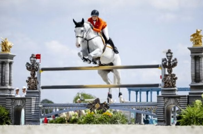 stallingsplekken voor (sport)paarden, Dieren en Toebehoren, Stalling en Weidegang, Stalling