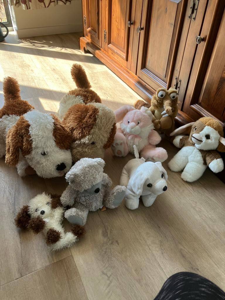Diverse knuffels: honden, konijn, beer en meer!, Gebruikt, Overige merken, Overige karakters, Middelgroot (20 tot 80 cm)