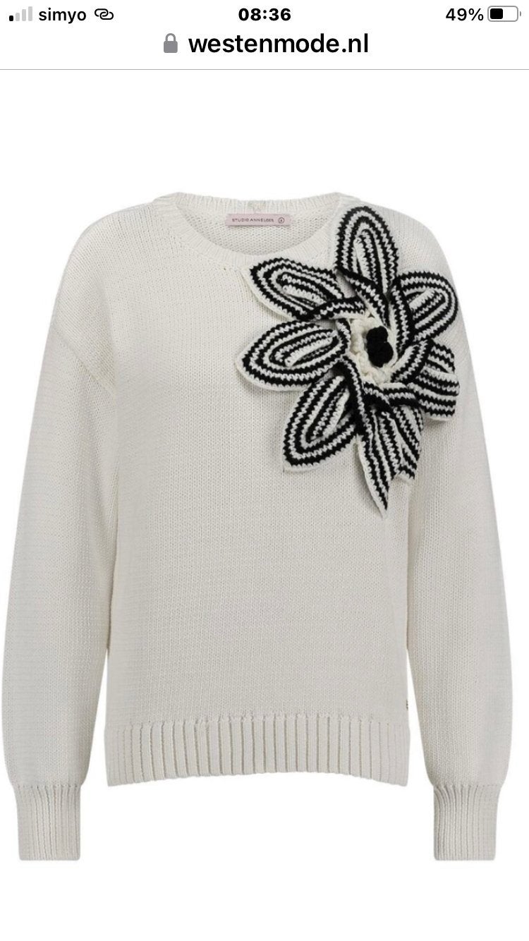 Studio Anneloes trui maat S, Kleding | Dames, Ophalen of Verzenden, Zo goed als nieuw, Maat 36 (S), Wit