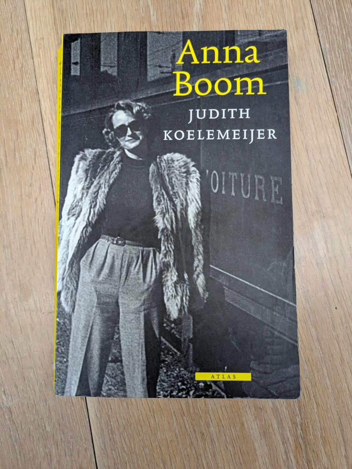Judith Koelemeijer - Anna Boom, Boeken, Ophalen of Verzenden, Gelezen, Judith Koelemeijer