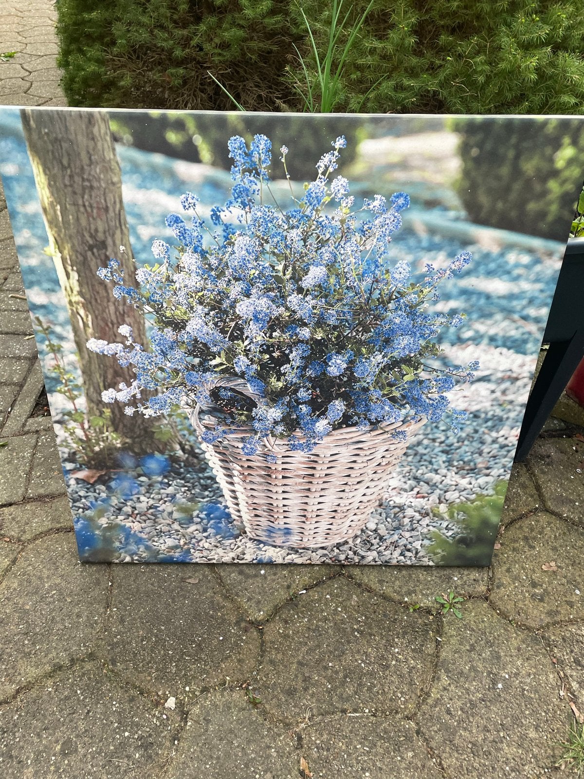 Canvas tuin schilderij met blauwe bloemen, 50 – 75, Ophalen of Verzenden, Zo goed als nieuw, Schilderij
