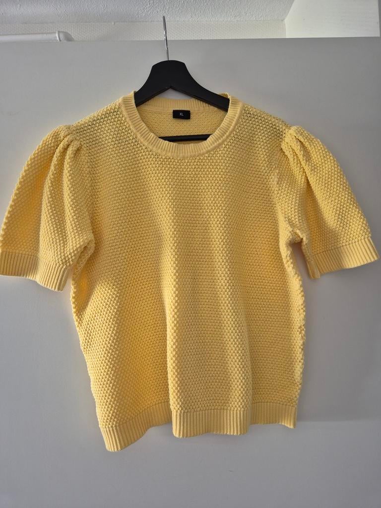 Leuke  tri maat  xl, Ophalen of Verzenden, Zo goed als nieuw, Maat 46/48 (XL) of groter, Lange mouw