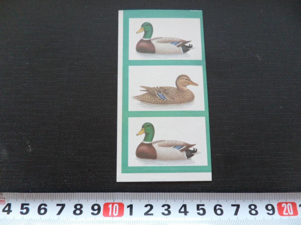 sticker set Eend Eenden  GD079, Ophalen, Zo goed als nieuw