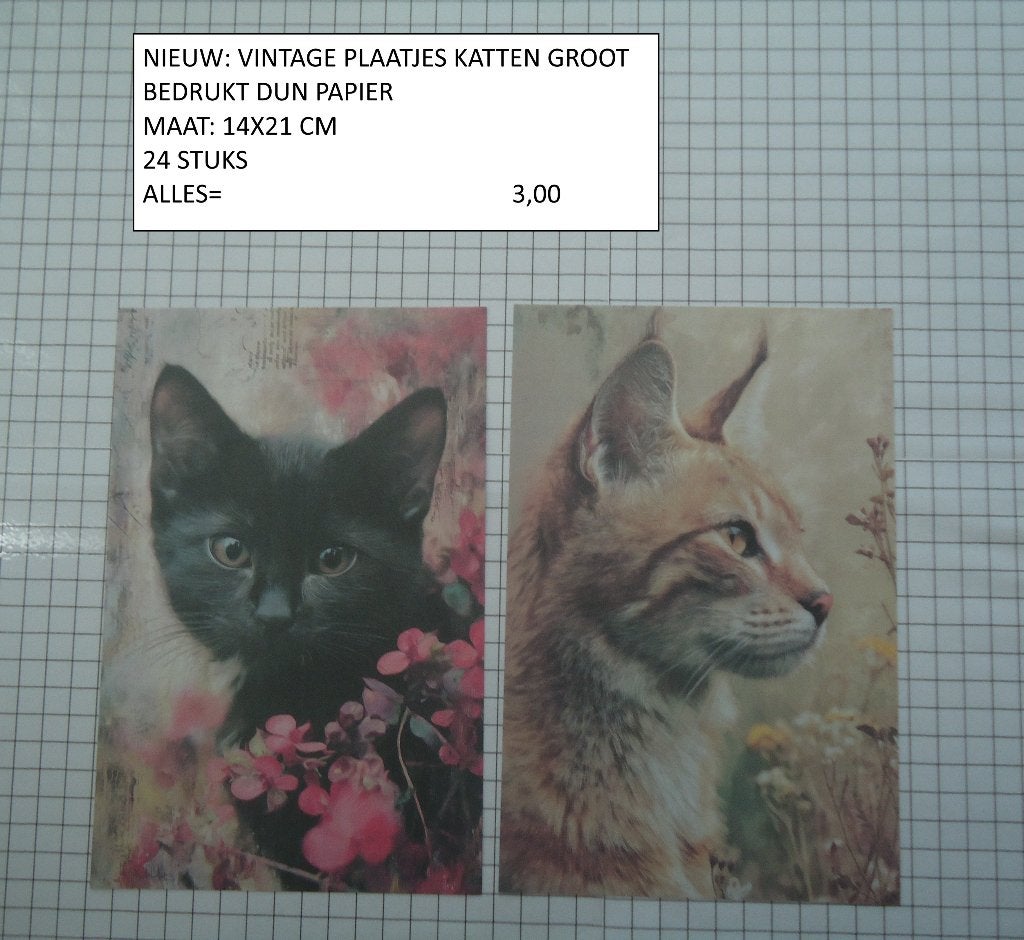 ⚠️nu 2,50: plaatjes katten groot 24 vel ( alleen verzenden, Ophalen, Nieuw, Papier of Karton, Overige merken