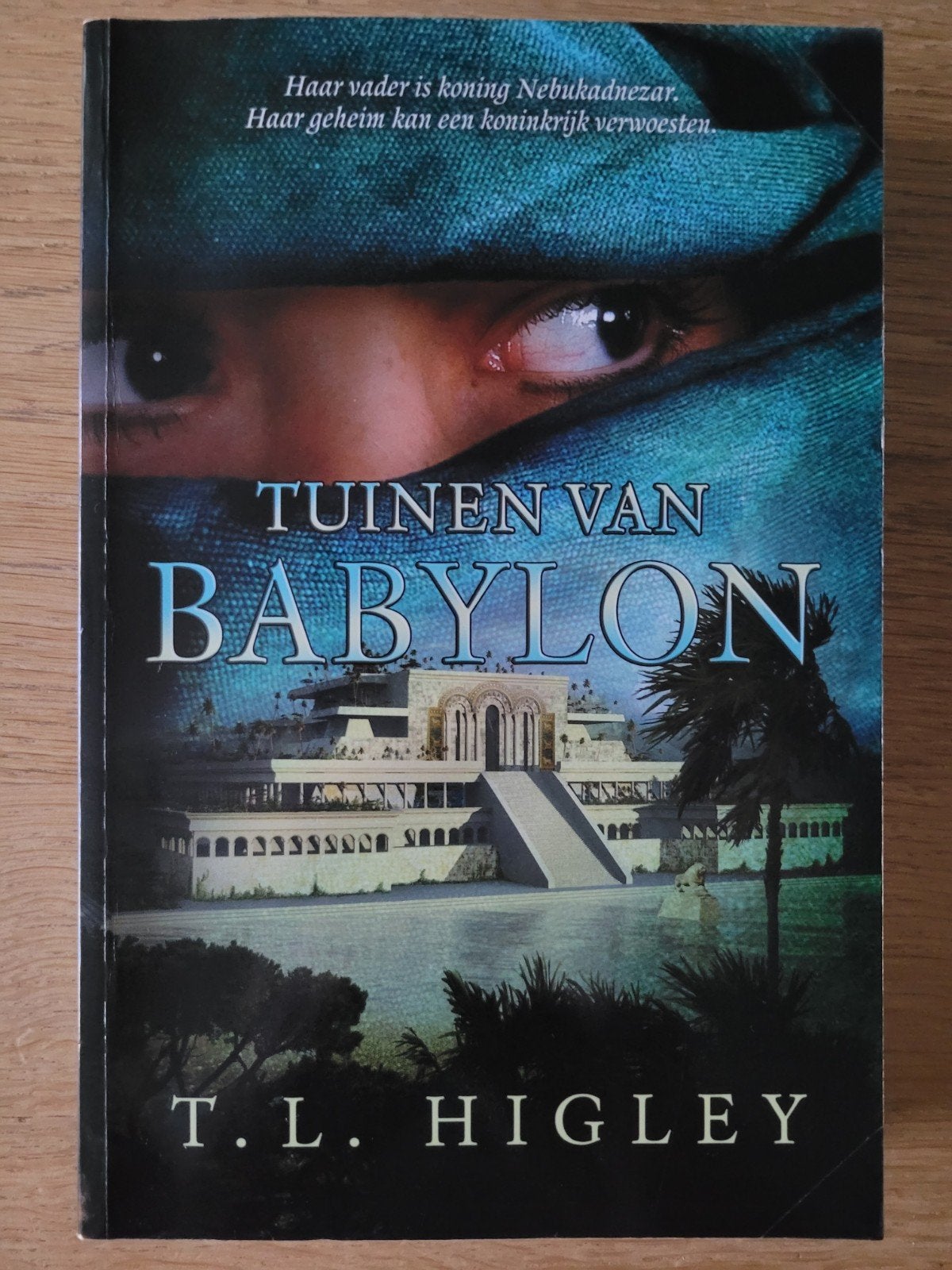 Tuinen van Babylon, T.L. Higley, bijbels-historisch, IZGS!, Ophalen of Verzenden, Gelezen