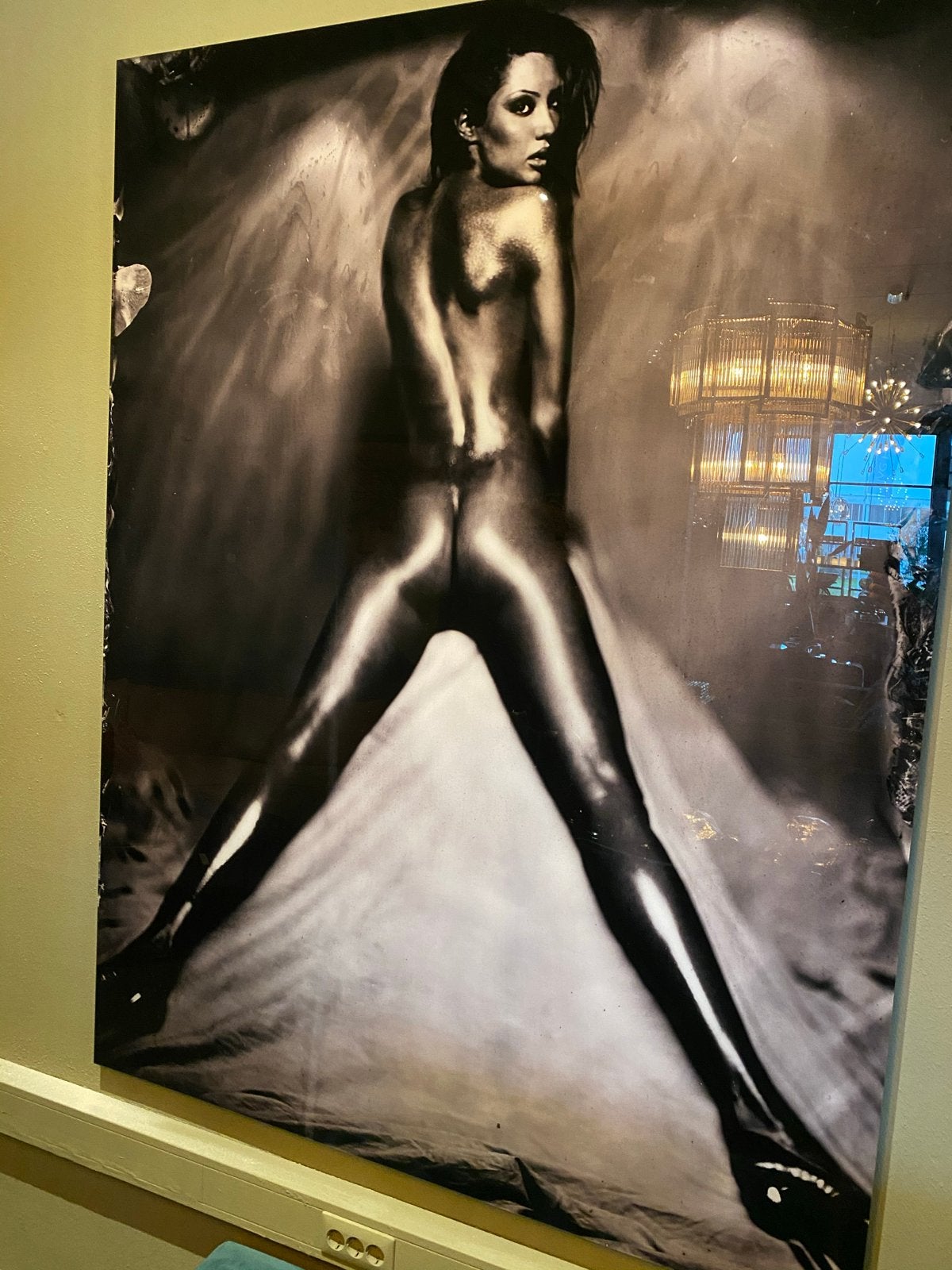 Cobra kunst gelimiteerd foto schilderij 200x150cm plexiglas, Ophalen of Verzenden, Schilderij, Fotografie, Met ophangsysteem