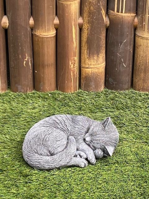 Poes nr.2340, Tuin en Terras, Tuinbeelden, Nieuw, Dierenbeeld, Beton, Ophalen